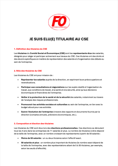 Titulaire CSE